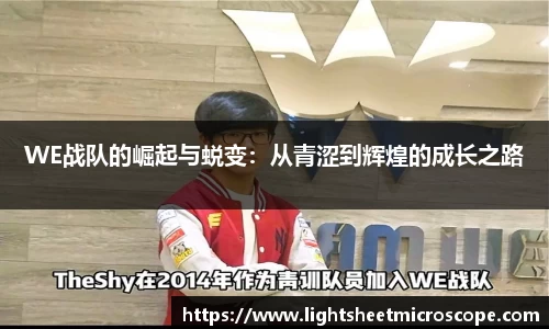 mk体育在线官网